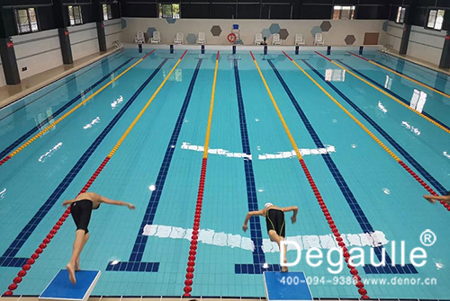 戴高樂恒溫<a href='http://m.917shu.cn' class='keys' title='點擊查看關(guān)于泳池工程的相關(guān)信息' target='_blank'>泳池工程</a>