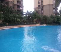 中山麗景名筑DF35/DF10泳池工程 中山麗景名筑DF35/DF10泳池工程