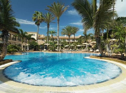 戴高樂，您身邊的泳池水處理專家！