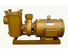 BP系列銅泵